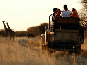 Kakamas Activities | Palmhof Chalets | River Rafting
