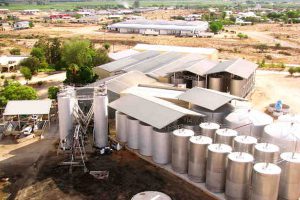 Kakamas Attractions | Palmhof Chalets | Orange River Wine Cellars